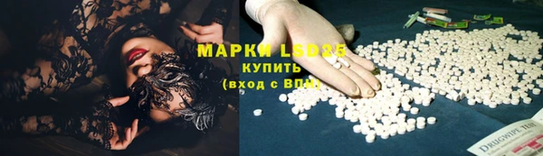 индика Беломорск