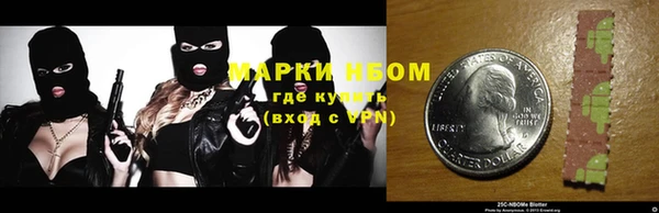 индика Беломорск