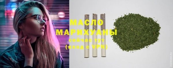 индика Беломорск