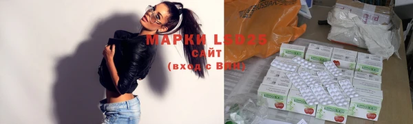 индика Беломорск