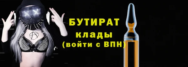 индика Беломорск