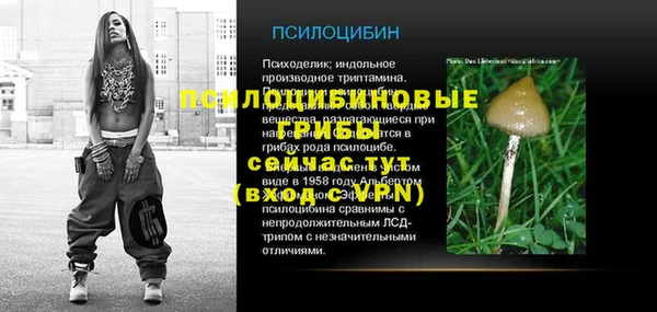 индика Беломорск