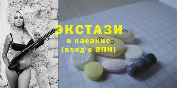 индика Беломорск